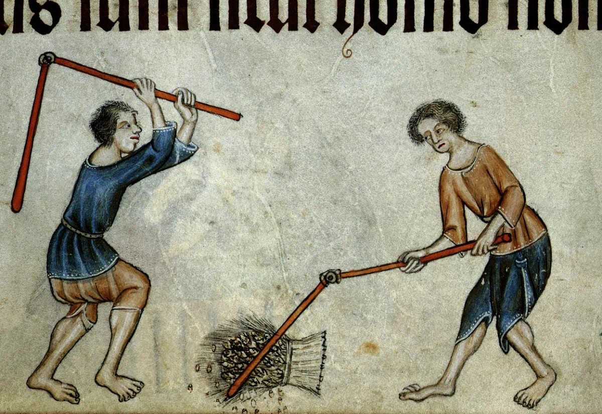 Two men threshing sheaf - Luttrell Psalter (c.1325-1335)