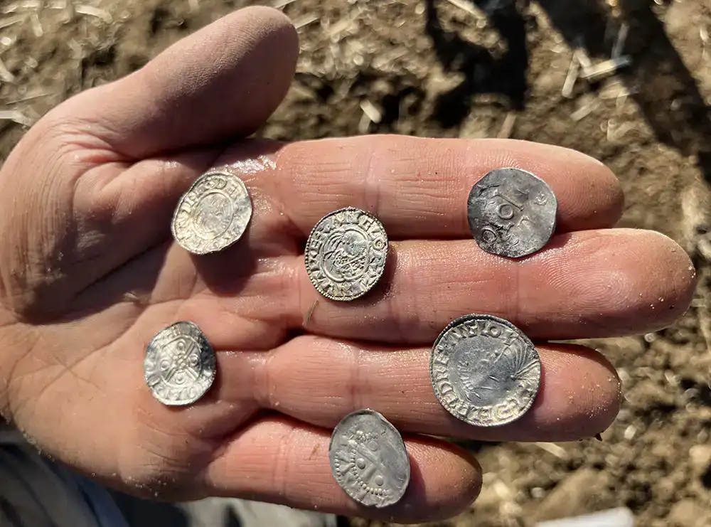 Largest coin hoard in Norwegian history. Credit - Innlandet County Authority