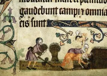Reaping and binding sheaves (From the Luttrell Psalter), ca 1330