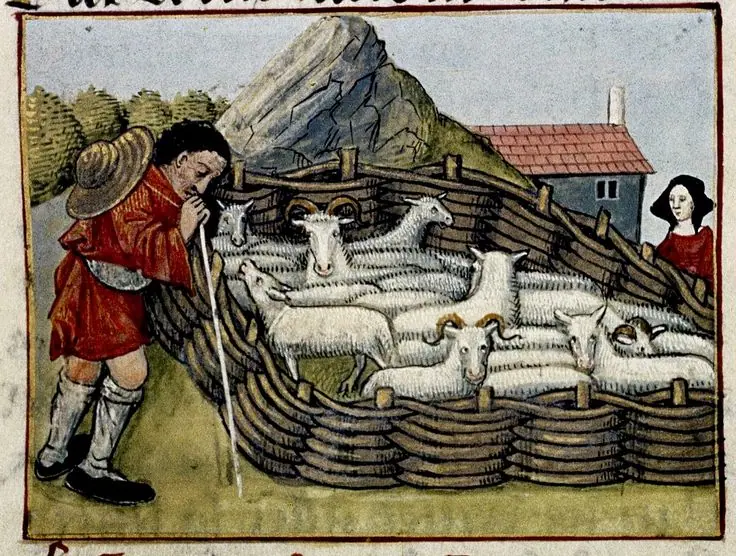 Print of sheep in woven hurdle pen. Medieval France. 15th century, MS Douce 195